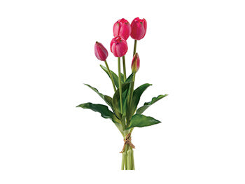 Bundle 5 tulipani Real Touch Bruco