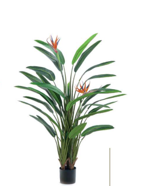 Pianta sterlizia real touch H160cm