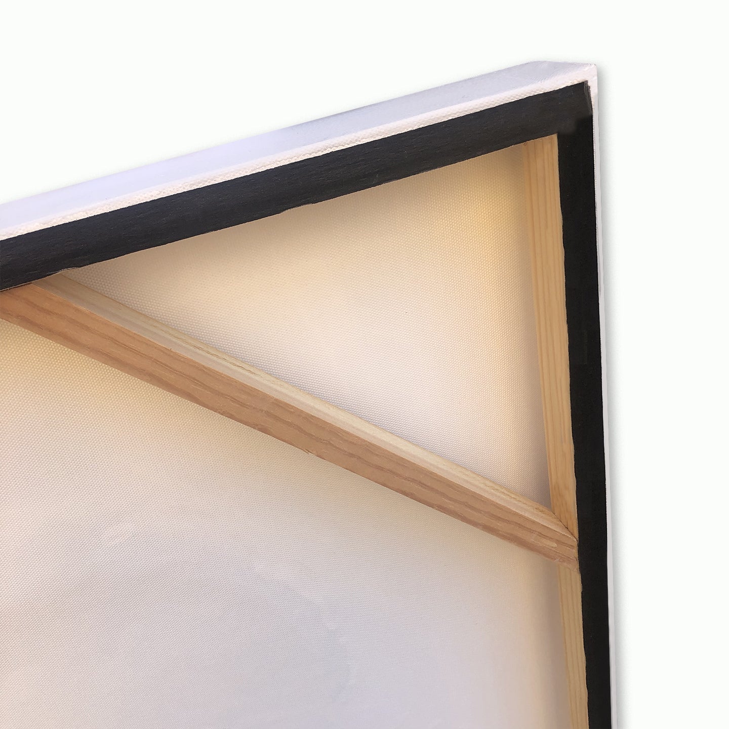 Quadro Ventagli Agave