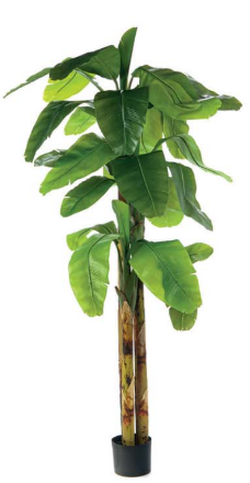 Pianta banano real touch H280cm