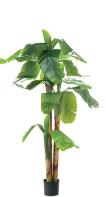 Pianta banano real touch H225cm