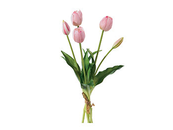 Bundle 5 tulipani Real Touch Bruco