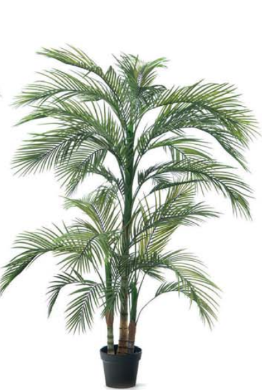 Pianta palma real touch H185cm