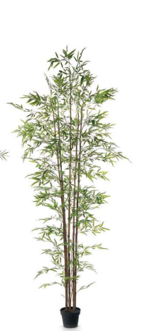 Pianta bamboo real touch H270cm