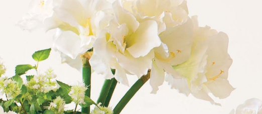 Ramo Lisianthus bianco h72cm