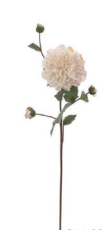 Ramo Dalia bianca con boccioli h90cm