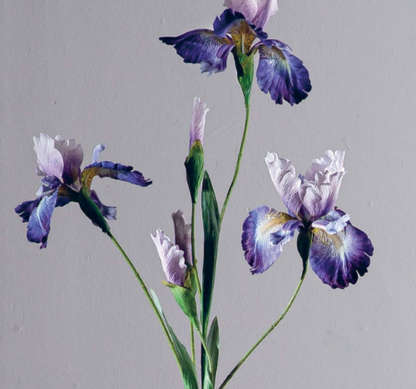 Ramo Iris h83cm