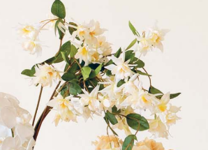 Ramo Aquilegia h87cm