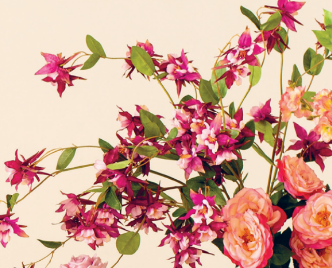 Ramo Aquilegia h87cm