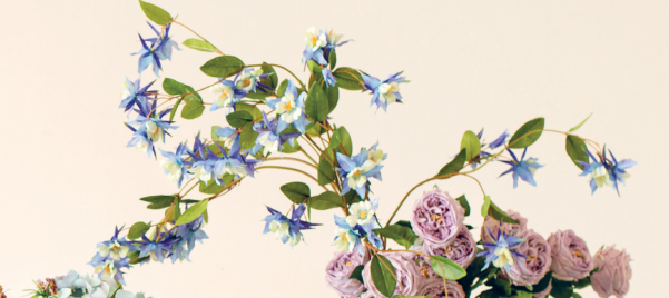 Ramo Aquilegia h87cm