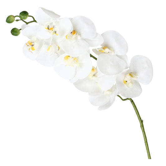 Stelo orchidea bianca real touch